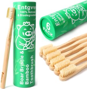 Boar Bristle Toothbrush, Plastic Fr...