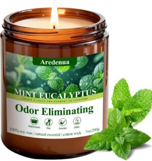 Mint Eucalyptus Odor Eliminating Ca...
