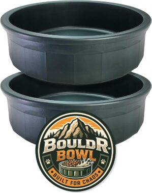 Green Pet Crock Bowl – 2 Pack...
