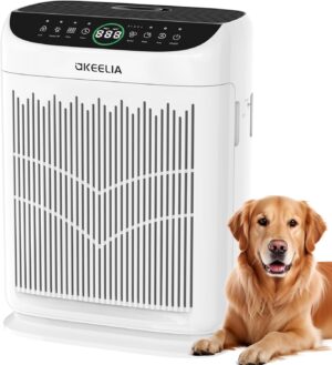 Air Purifiers for Home Large Room U...