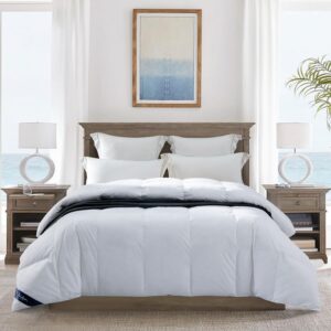 Globon Ultra-Soft Lightweight Down ...