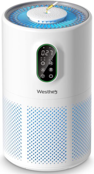 Air Purifiers for Home Large Room u...