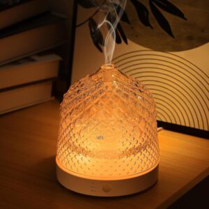 Lecdura Glass Essential Oil Diffuse...