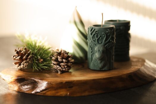 A serene living space with natural elements, showcasing plants and eco-friendly decor.