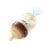 Thyseed PPSU Anti-Colic Baby Bottle, Breast-Like Extra Slow Flow Nipple for Breastfed Babies (0m+), 5 oz/160 mL, 1 Pack