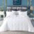Globon Summer Down Comforter Blanket Queen Size, Extra Lightweight Duvet Insert for Hot Sleepers, Noiseless & Extra Soft,90×90 inches,10 Ounce Fill Weight, White