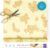 Bee’s Wrap Beeswax Wraps for Food – Cut to Size 14×52″ Beeswax Wrap Roll – Plastic Free Made in USA Reusable Natural Food Wrap – Honeycomb